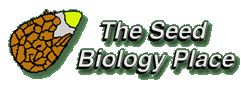 The Seed Biology Place